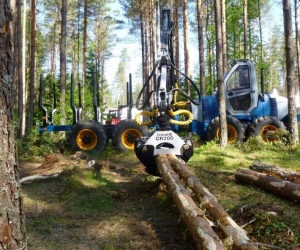 Forwarder LVS 720