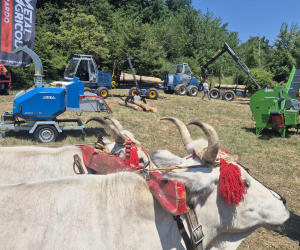FutaExpo 2025 bylo plné zážitků